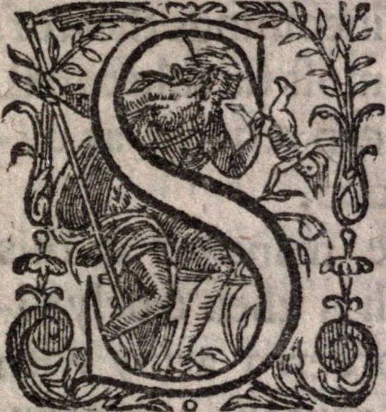 An illustration from A survey of the summe of church-discipline. Wherein the way of the churches of New-England is warranted out of the Word, and all exceptions of weight, which are made against it, answered: Whereby also it will appear to the judicious reader, that something more must be said, then yet hath been, before their principles can be shaken, or they should be unsetled in their practice, 1648, leaf 44