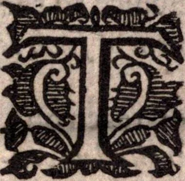 An illustration from A survey of the summe of church-discipline. Wherein the way of the churches of New-England is warranted out of the Word, and all exceptions of weight, which are made against it, answered: Whereby also it will appear to the judicious reader, that something more must be said, then yet hath been, before their principles can be shaken, or they should be unsetled in their practice, 1648, leaf 446