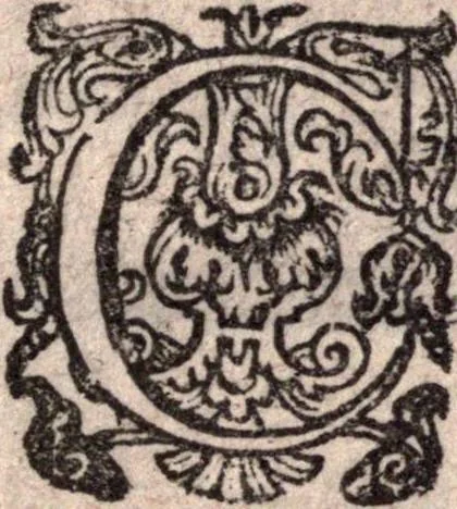 An illustration from A survey of the summe of church-discipline. Wherein the way of the churches of New-England is warranted out of the Word, and all exceptions of weight, which are made against it, answered: Whereby also it will appear to the judicious reader, that something more must be said, then yet hath been, before their principles can be shaken, or they should be unsetled in their practice, 1648, leaf 474