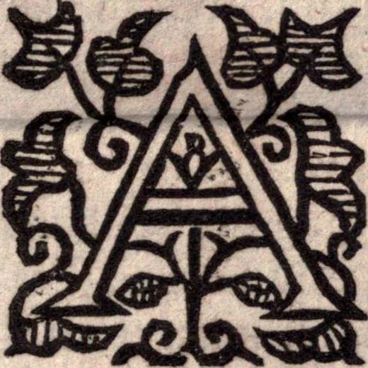 An illustration from A survey of the summe of church-discipline. Wherein the way of the churches of New-England is warranted out of the Word, and all exceptions of weight, which are made against it, answered: Whereby also it will appear to the judicious reader, that something more must be said, then yet hath been, before their principles can be shaken, or they should be unsetled in their practice, 1648, leaf 476