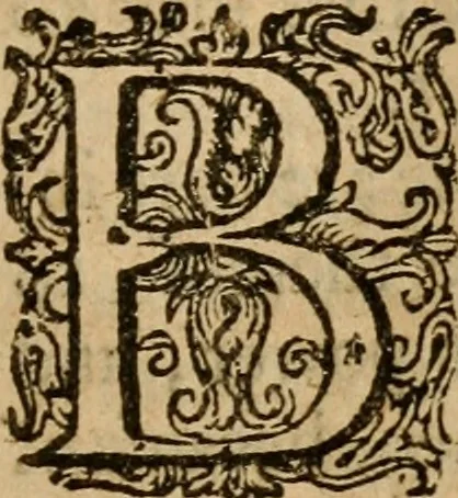 An illustration from A survey of the summe of church-discipline : wherein the way of the churches of New-England is warranted out of the Word, and all exceptions of weight, which are made against it, answered: Whereby also it will appear to the judicious reader, that something more must be said, then yet hath been, before their principles can be shaken, or they should be unsetled in their practice, 1648, leaf 178