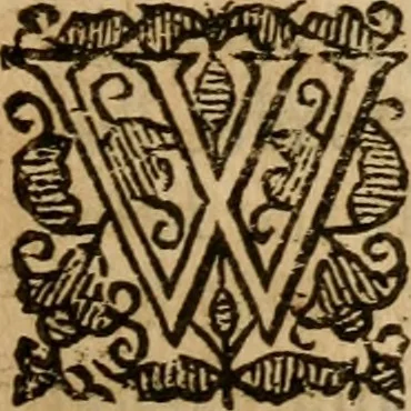 An illustration from A survey of the summe of church-discipline : wherein the way of the churches of New-England is warranted out of the Word, and all exceptions of weight, which are made against it, answered: Whereby also it will appear to the judicious reader, that something more must be said, then yet hath been, before their principles can be shaken, or they should be unsetled in their practice, 1648, leaf 222