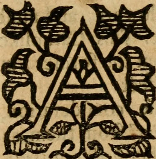 An illustration from A survey of the summe of church-discipline : wherein the way of the churches of New-England is warranted out of the Word, and all exceptions of weight, which are made against it, answered: Whereby also it will appear to the judicious reader, that something more must be said, then yet hath been, before their principles can be shaken, or they should be unsetled in their practice, 1648, leaf 236