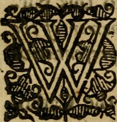 An illustration from A survey of the summe of church-discipline : wherein the way of the churches of New-England is warranted out of the Word, and all exceptions of weight, which are made against it, answered: Whereby also it will appear to the judicious reader, that something more must be said, then yet hath been, before their principles can be shaken, or they should be unsetled in their practice, 1648, leaf 243
