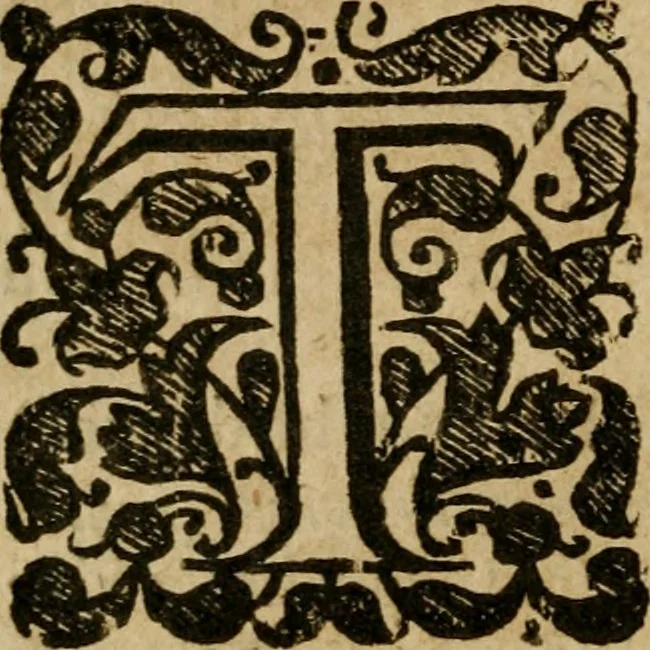 An illustration from A survey of the summe of church-discipline : wherein the way of the churches of New-England is warranted out of the Word, and all exceptions of weight, which are made against it, answered: Whereby also it will appear to the judicious reader, that something more must be said, then yet hath been, before their principles can be shaken, or they should be unsetled in their practice, 1648, leaf 281