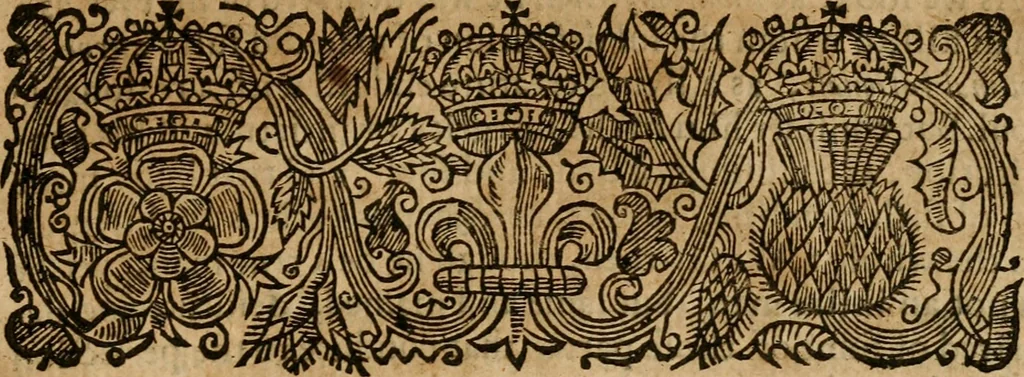 An illustration from A survey of the summe of church-discipline : wherein the way of the churches of New-England is warranted out of the Word, and all exceptions of weight, which are made against it, answered: Whereby also it will appear to the judicious reader, that something more must be said, then yet hath been, before their principles can be shaken, or they should be unsetled in their practice, 1648, leaf 290