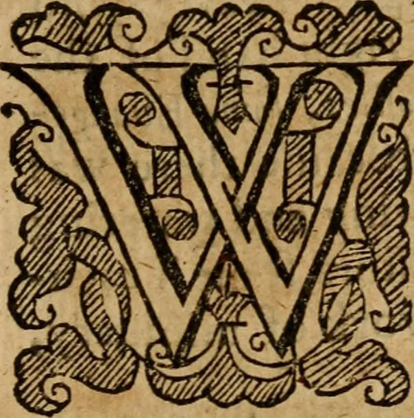 An illustration from A survey of the summe of church-discipline : wherein the way of the churches of New-England is warranted out of the Word, and all exceptions of weight, which are made against it, answered: Whereby also it will appear to the judicious reader, that something more must be said, then yet hath been, before their principles can be shaken, or they should be unsetled in their practice, 1648, leaf 290