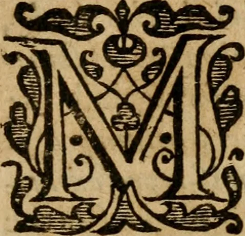 An illustration from A survey of the summe of church-discipline : wherein the way of the churches of New-England is warranted out of the Word, and all exceptions of weight, which are made against it, answered: Whereby also it will appear to the judicious reader, that something more must be said, then yet hath been, before their principles can be shaken, or they should be unsetled in their practice, 1648, leaf 30