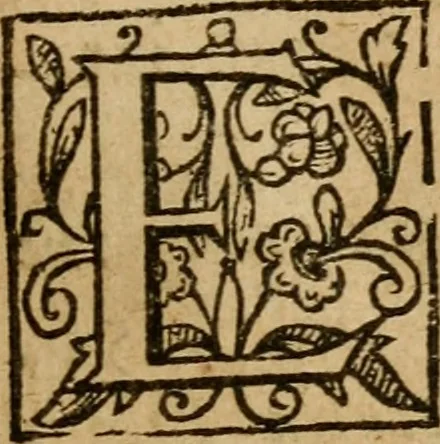 An illustration from A survey of the summe of church-discipline : wherein the way of the churches of New-England is warranted out of the Word, and all exceptions of weight, which are made against it, answered: Whereby also it will appear to the judicious reader, that something more must be said, then yet hath been, before their principles can be shaken, or they should be unsetled in their practice, 1648, leaf 34