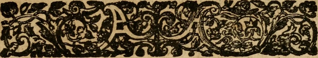 An illustration from A survey of the summe of church-discipline : wherein the way of the churches of New-England is warranted out of the Word, and all exceptions of weight, which are made against it, answered: Whereby also it will appear to the judicious reader, that something more must be said, then yet hath been, before their principles can be shaken, or they should be unsetled in their practice, 1648, leaf 38