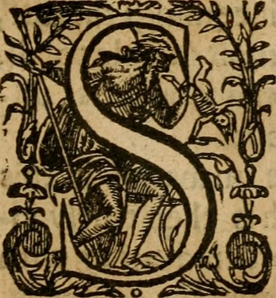 An illustration from A survey of the summe of church-discipline : wherein the way of the churches of New-England is warranted out of the Word, and all exceptions of weight, which are made against it, answered: Whereby also it will appear to the judicious reader, that something more must be said, then yet hath been, before their principles can be shaken, or they should be unsetled in their practice, 1648, leaf 38