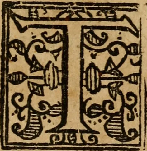 An illustration from A survey of the summe of church-discipline : wherein the way of the churches of New-England is warranted out of the Word, and all exceptions of weight, which are made against it, answered: Whereby also it will appear to the judicious reader, that something more must be said, then yet hath been, before their principles can be shaken, or they should be unsetled in their practice, 1648, leaf 426