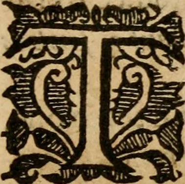 An illustration from A survey of the summe of church-discipline : wherein the way of the churches of New-England is warranted out of the Word, and all exceptions of weight, which are made against it, answered: Whereby also it will appear to the judicious reader, that something more must be said, then yet hath been, before their principles can be shaken, or they should be unsetled in their practice, 1648, leaf 440