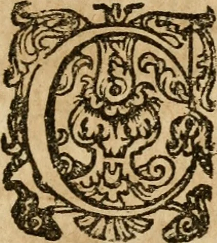An illustration from A survey of the summe of church-discipline : wherein the way of the churches of New-England is warranted out of the Word, and all exceptions of weight, which are made against it, answered: Whereby also it will appear to the judicious reader, that something more must be said, then yet hath been, before their principles can be shaken, or they should be unsetled in their practice, 1648, leaf 468