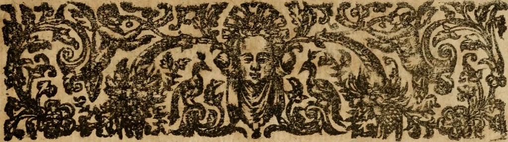 An illustration from A survey of the summe of church-discipline : wherein the way of the churches of New-England is warranted out of the Word, and all exceptions of weight, which are made against it, answered: Whereby also it will appear to the judicious reader, that something more must be said, then yet hath been, before their principles can be shaken, or they should be unsetled in their practice, 1648, leaf 494
