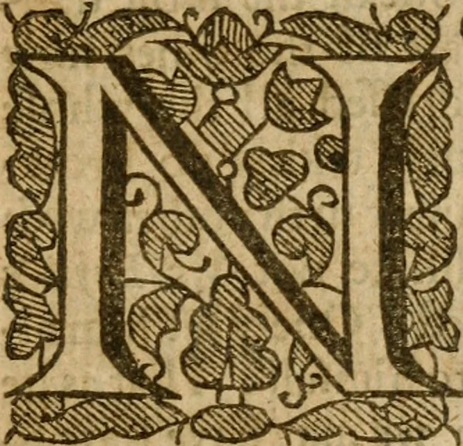 An illustration from A survey of the summe of church-discipline : wherein the way of the churches of New-England is warranted out of the Word, and all exceptions of weight, which are made against it, answered: Whereby also it will appear to the judicious reader, that something more must be said, then yet hath been, before their principles can be shaken, or they should be unsetled in their practice, 1648, leaf 498
