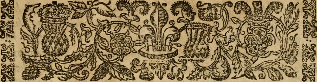 An illustration from A survey of the summe of church-discipline : wherein the way of the churches of New-England is warranted out of the Word, and all exceptions of weight, which are made against it, answered: Whereby also it will appear to the judicious reader, that something more must be said, then yet hath been, before their principles can be shaken, or they should be unsetled in their practice, 1648, leaf 6