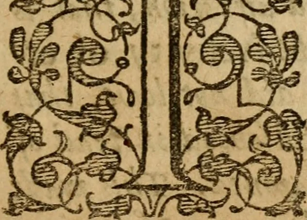 An illustration from A survey of the summe of church-discipline : wherein the way of the churches of New-England is warranted out of the Word, and all exceptions of weight, which are made against it, answered: Whereby also it will appear to the judicious reader, that something more must be said, then yet hath been, before their principles can be shaken, or they should be unsetled in their practice, 1648, leaf 6