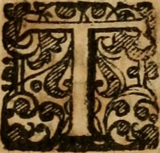 An illustration from A survey of the summe of church-discipline : wherein the way of the churches of New-England is warranted out of the Word, and all exceptions of weight, which are made against it, answered: Whereby also it will appear to the judicious reader, that something more must be said, then yet hath been, before their principles can be shaken, or they should be unsetled in their practice, 1648, leaf 602