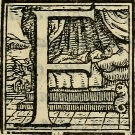 An illustration from Svccessi del viaggio d'Henrico III, christianiss.mo re di Francia, e di Polonia, dalla sva partita di Craccovia fino all'arrivo in Tvrino, 1574, leaf 16