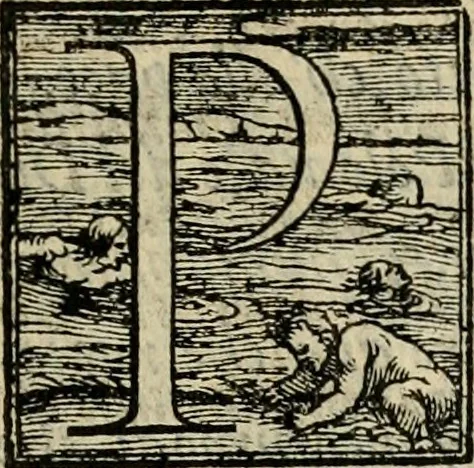 An illustration from Svccessi del viaggio d'Henrico III, christianiss.mo re di Francia, e di Polonia, dalla sva partita di Craccovia fino all'arrivo in Tvrino, 1574, leaf 22