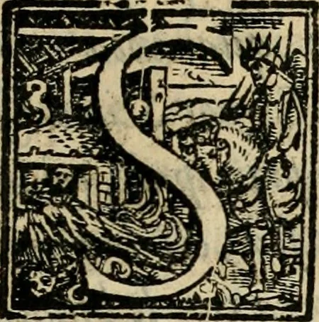 An illustration from Svccessi del viaggio d'Henrico III, christianiss.mo re di Francia, e di Polonia, dalla sva partita di Craccovia fino all'arrivo in Tvrino, 1574, leaf 26