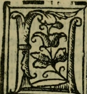 An illustration from Svmmario de la generale historia de l'Indie occidentali : cavato da libri scritti dal signor don Pietro Martyre, del Consignio delle Indie della maesta de l'imperadore, et da molte altre particvlari relationi, 1534, leaf 170