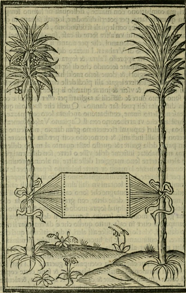 An illustration from Svmmario de la generale historia de l'Indie occidentali : cavato da libri scritti dal signor don Pietro Martyre, del Consignio delle Indie della maesta de l'imperadore, et da molte altre particvlari relationi, 1534, leaf 209
