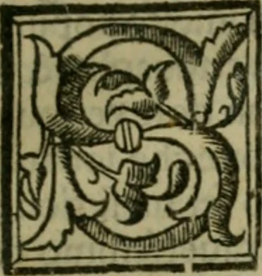 An illustration from Svmmario de la generale historia de l'Indie occidentali : cavato da libri scritti dal signor don Pietro Martyre, del Consignio delle Indie della maesta de l'imperadore, et da molte altre particvlari relationi, 1534, leaf 302