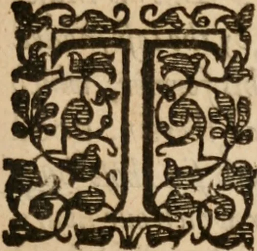An illustration from The svmme and svbstance of the conference which it pleased His Excellent Majestie : to have with the Lords Bishops and others of his clergie (at which the most of the Lords of the Councell were present) in his Majesties Privie-chamber at Hampton Court, Ianu. 14, 1603, 1638, leaf 14