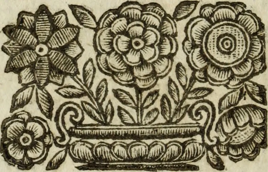 An illustration from Svpplemento al Compendio historico del Signor D. Marc' Antonio Guarini Ferrarese, 1670, leaf 249