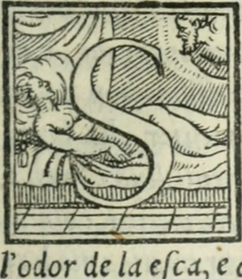 An illustration from Svpplimento delle piacevoli, ingeniose, et argutissime lettre. Indrizzate a diuersi, sotto varij, & bellissimi discorsi, nello antico volgare idioma composte, & dichiarite con moralissimi vocaboli, 1556, leaf 116