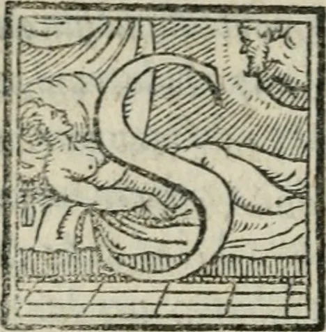 An illustration from Svpplimento delle piacevoli, ingeniose, et argutissime lettre. Indrizzate a diuersi, sotto varij, & bellissimi discorsi, nello antico volgare idioma composte, & dichiarite con moralissimi vocaboli, 1556, leaf 141