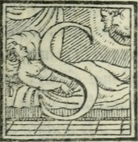 An illustration from Svpplimento delle piacevoli, ingeniose, et argutissime lettre. Indrizzate a diuersi, sotto varij, & bellissimi discorsi, nello antico volgare idioma composte, & dichiarite con moralissimi vocaboli, 1556, leaf 52