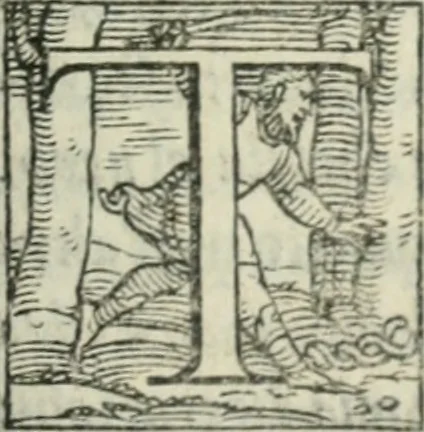An illustration from Svpplimento delle piacevoli, ingeniose, et argutissime lettre. Indrizzate a diuersi, sotto varij, & bellissimi discorsi, nello antico volgare idioma composte, & dichiarite con moralissimi vocaboli, 1556, leaf 62