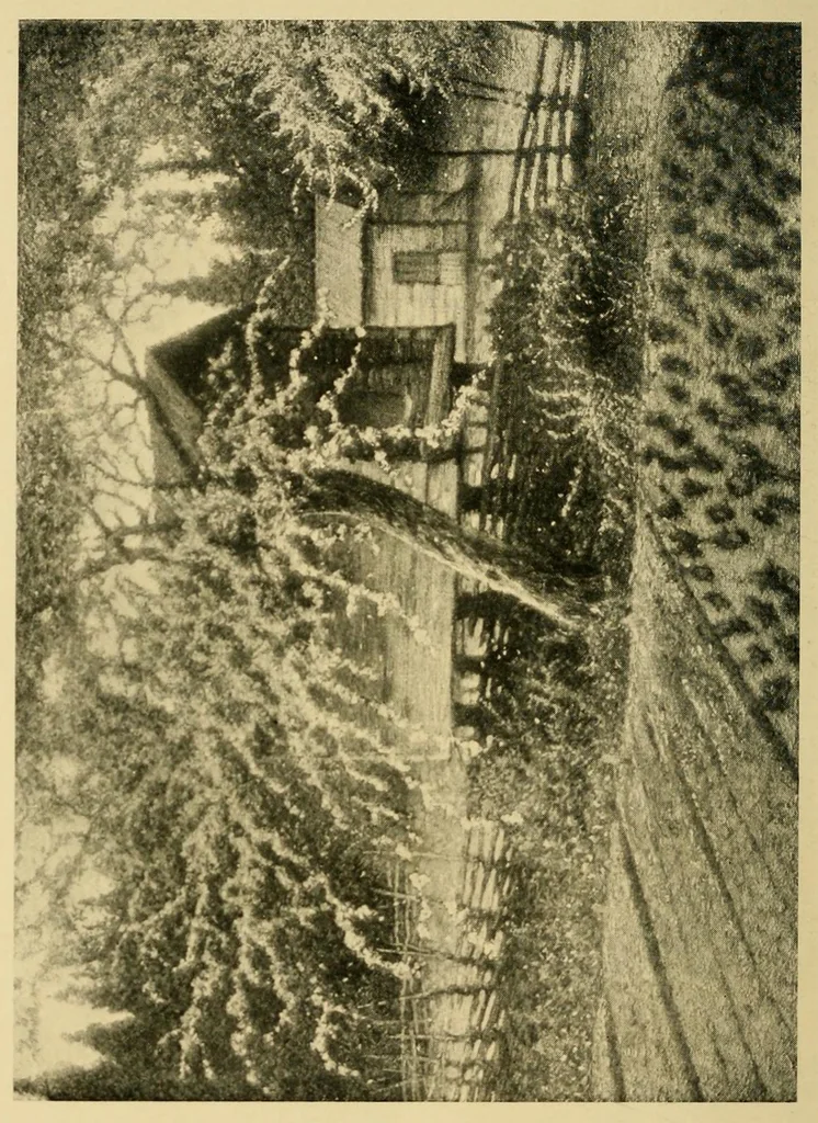 An illustration from Swedish art exhibition, 1916, leaf 68