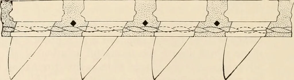 An illustration from Sweet’s indexed catalogue of building construction for the year 1906, 1906, leaf 337