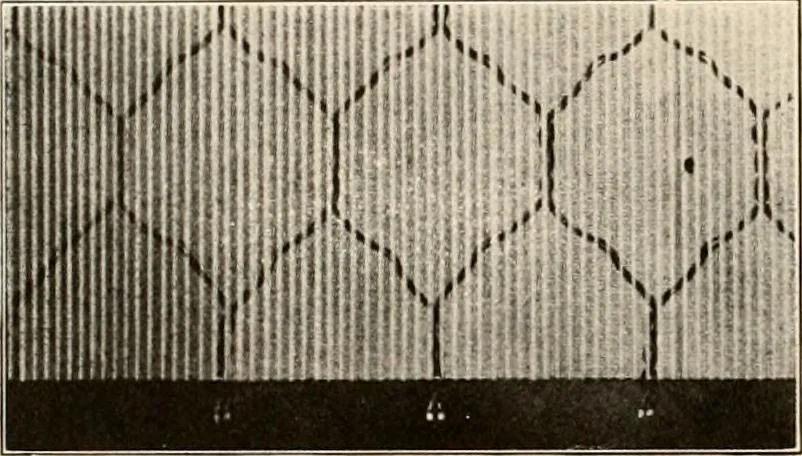 An illustration from Sweet’s indexed catalogue of building construction for the year 1906, 1906, leaf 345