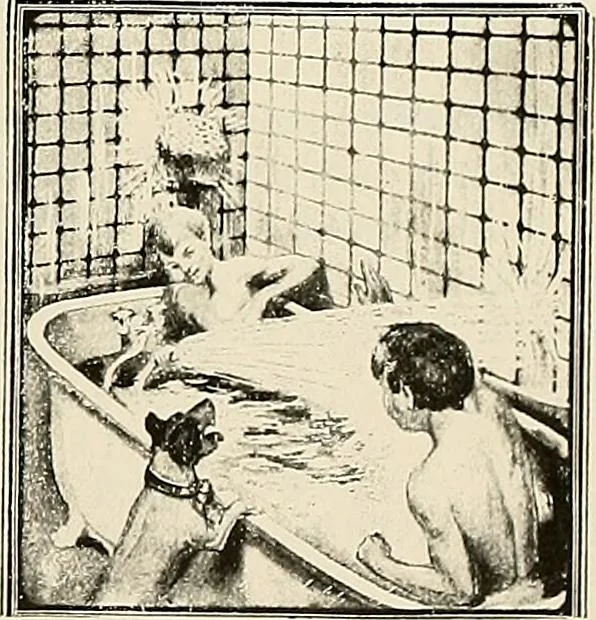 An illustration from Sweet’s indexed catalogue of building construction for the year 1906, 1906, leaf 816