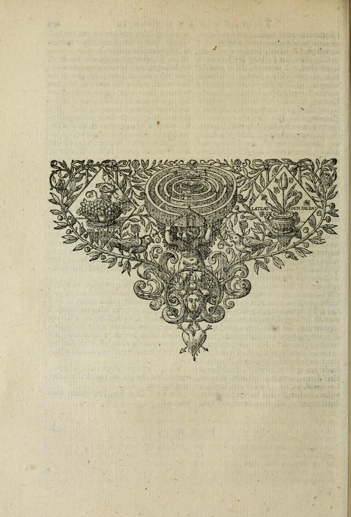 An illustration from 's Werelts begin, midden, eynde, besloten in den trou-ringh : met den proefsteen van den selven, 1637, leaf 522