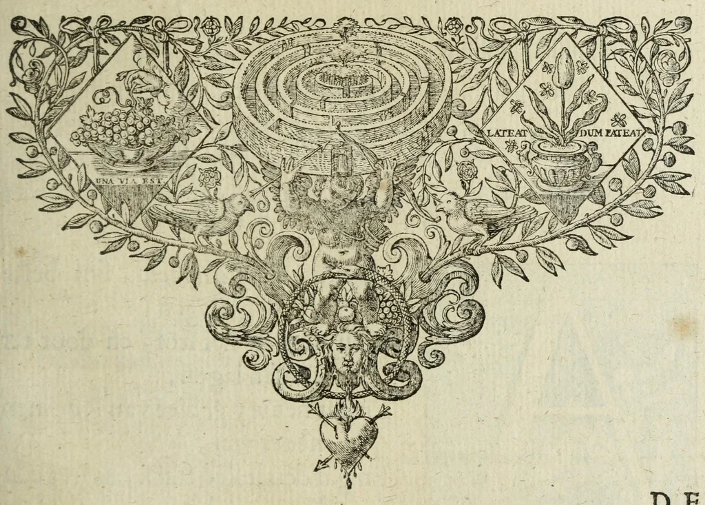 An illustration from 's Werelts begin, midden, eynde, besloten in den trou-ringh : met den proefsteen van den selven, 1637, leaf 627