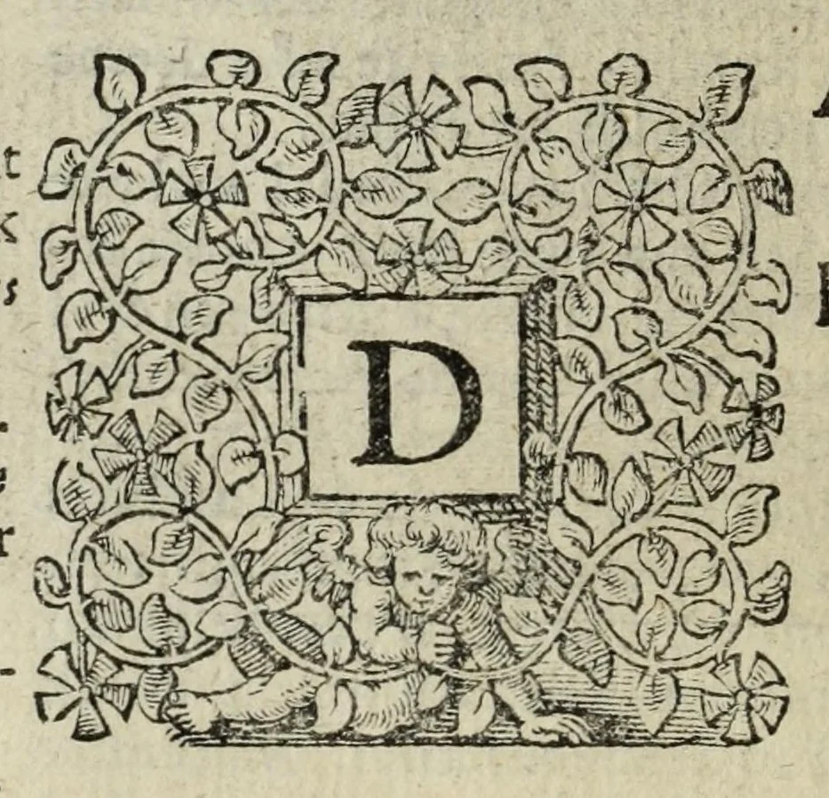An illustration from 's Werelts begin, midden, eynde, besloten in den trou-ringh : met den proefsteen van den selven, 1637, leaf 798