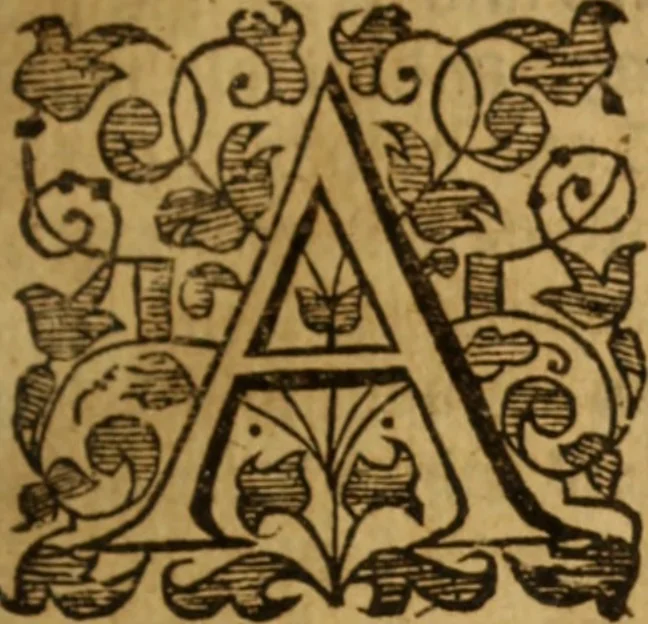 An illustration from Symboleographie .., 1641, leaf 50