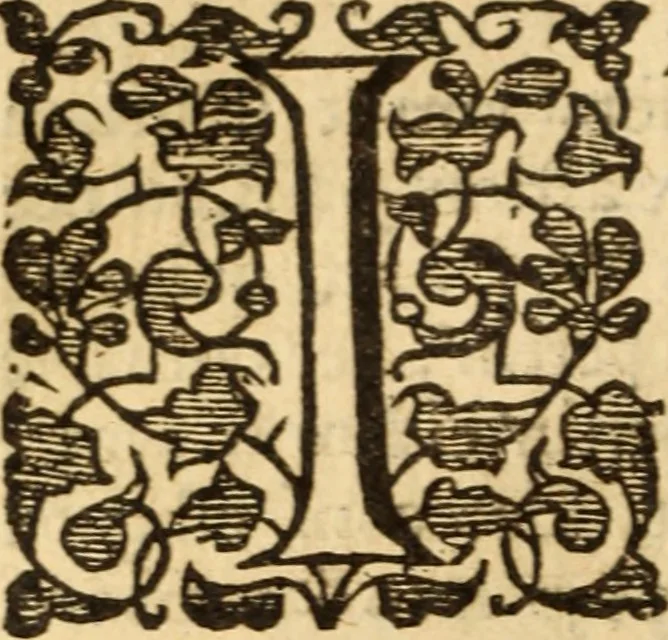 An illustration from Symboleographie .., 1641, leaf 765