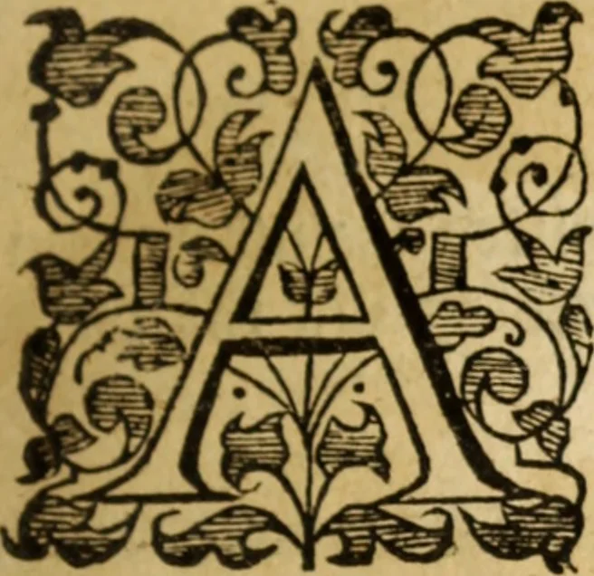 An illustration from Symboleographie .., 1641, leaf 784