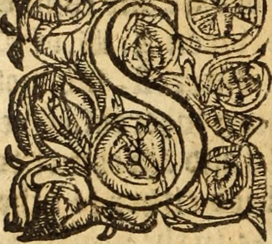 An illustration from Symboleographie .., 1641, leaf 959