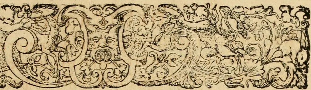 An illustration from Sylloge numismatum elegantiorum, quae diuersi impp., reges, principes, comites, respublicae diuersas ob causas ab anno 1500 ad annum usq[ue] 1600 cudi fecerunt, concinnata & historica narratione (sed breui) illustrata, 1620, leaf 12