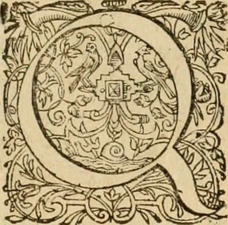 An illustration from Sylloge numismatum elegantiorum, quae diuersi impp., reges, principes, comites, respublicae diuersas ob causas ab anno 1500 ad annum usq[ue] 1600 cudi fecerunt, concinnata & historica narratione (sed breui) illustrata, 1620, leaf 129