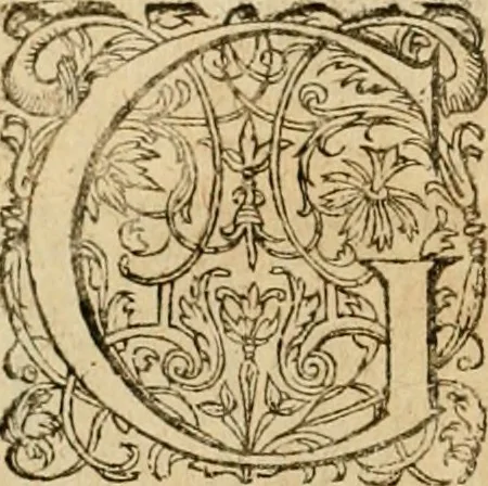An illustration from Sylloge numismatum elegantiorum, quae diuersi impp., reges, principes, comites, respublicae diuersas ob causas ab anno 1500 ad annum usq[ue] 1600 cudi fecerunt, concinnata & historica narratione (sed breui) illustrata, 1620, leaf 133