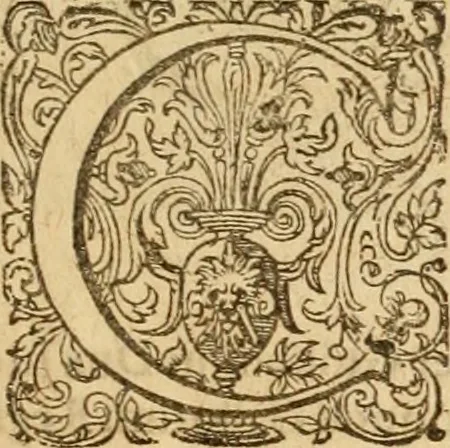 An illustration from Sylloge numismatum elegantiorum, quae diuersi impp., reges, principes, comites, respublicae diuersas ob causas ab anno 1500 ad annum usq[ue] 1600 cudi fecerunt, concinnata & historica narratione (sed breui) illustrata, 1620, leaf 134